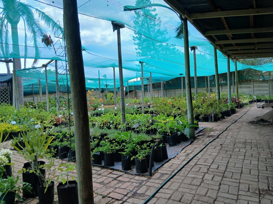 Commercial Property for Sale in C Place Eastern Cape